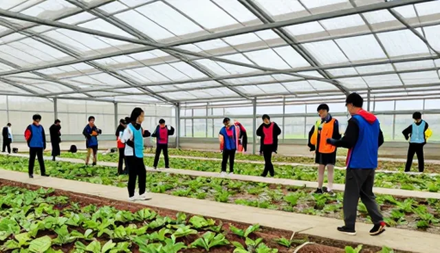素质拓展中学习规划的应用场景分析